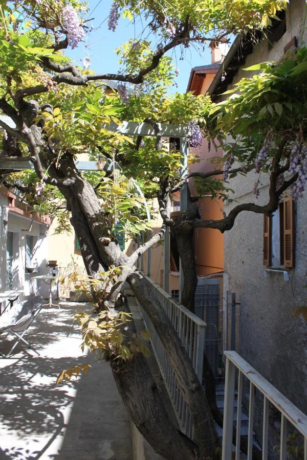 Wisteria Court - Suite 2 - 梅纳焦 外观 照片